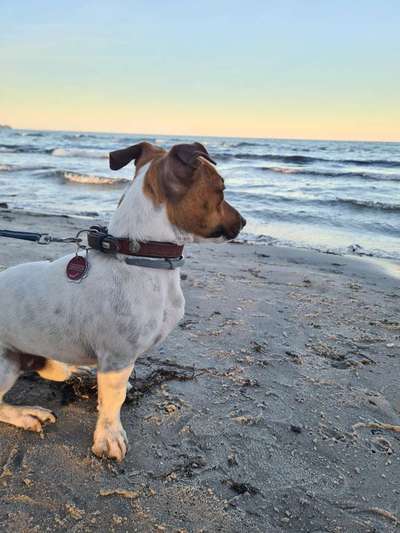 Fotowettbewerb Natur-Beitrag-Bild