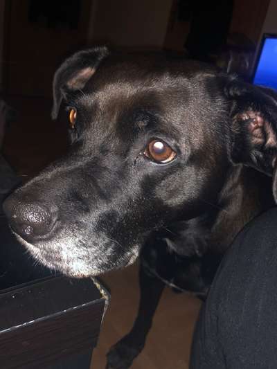 Fotochallenge Nr. 67: Euer Lieblingsbild-Beitrag-Bild