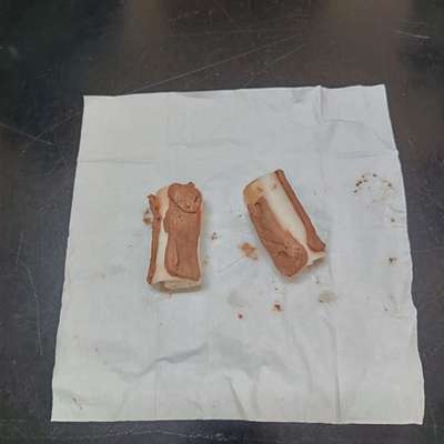 Giftköder-Giftköder-Bild