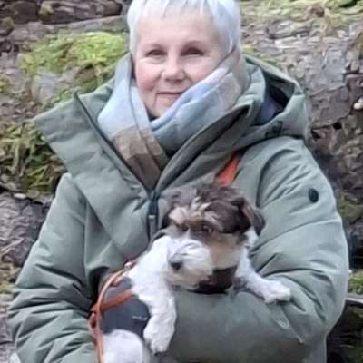 Hundetreffen-entspannte Runde