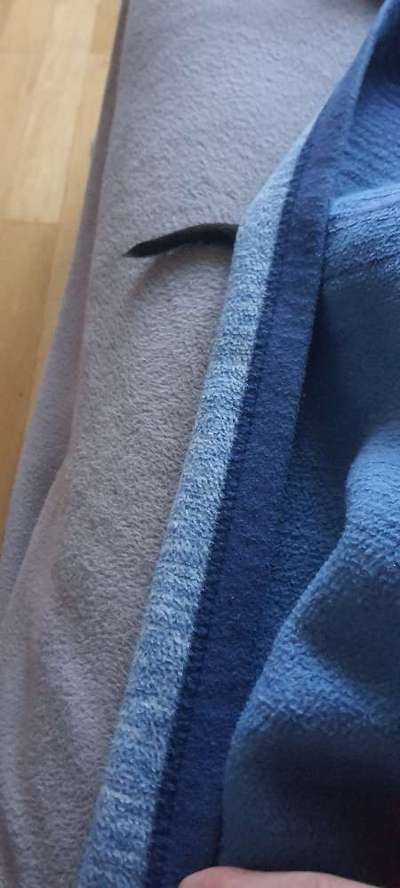 Challenge 21 - wo bin ich : )-Beitrag-Bild