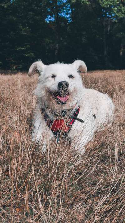 Fotochallange Nr. 57     PORTRÄT.   Beendet!!!!!!!!-Beitrag-Bild