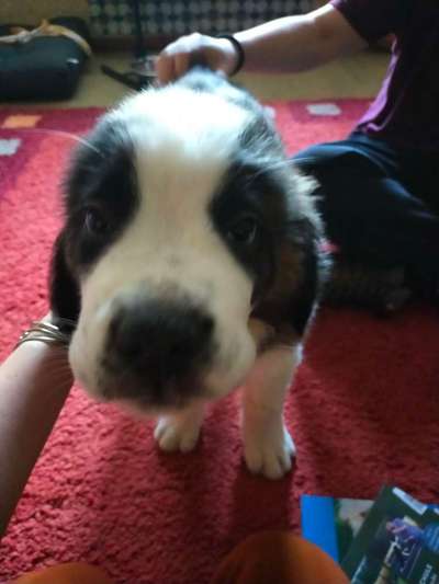 Ratespaß geht weiter-Beitrag-Bild