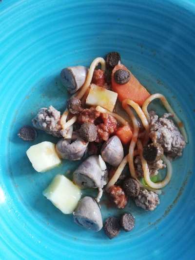 Zeigt her Eure Futternäpfe-Beitrag-Bild