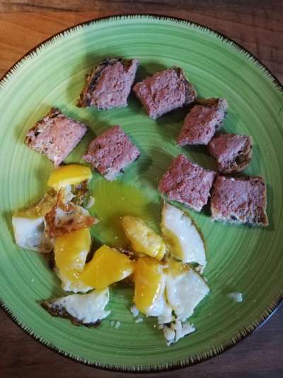 Zeigt her Eure Futternäpfe-Beitrag-Bild