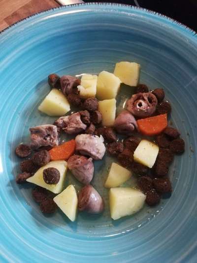 Zeigt her Eure Futternäpfe-Beitrag-Bild