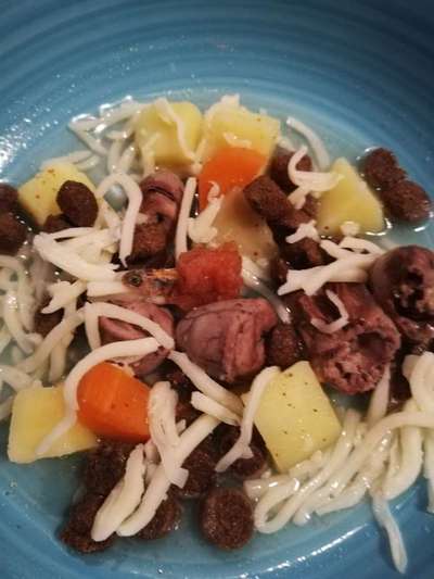 Zeigt her Eure Futternäpfe-Beitrag-Bild