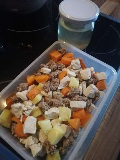 Zeigt her Eure Futternäpfe-Beitrag-Bild