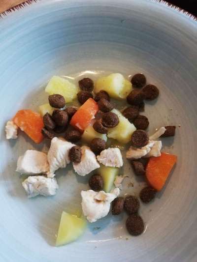 Zeigt her Eure Futternäpfe-Beitrag-Bild