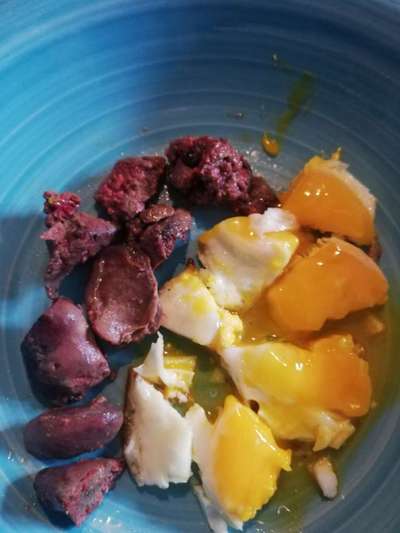 Zeigt her Eure Futternäpfe-Beitrag-Bild