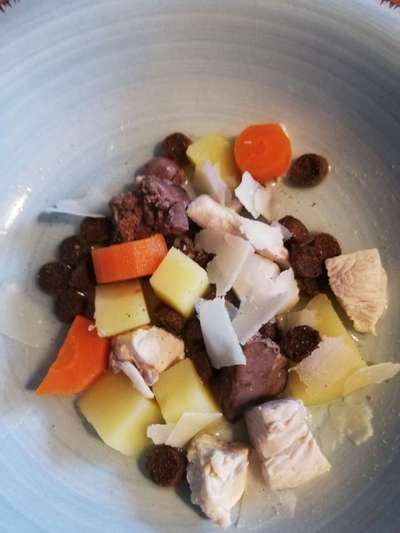 Zeigt her Eure Futternäpfe-Beitrag-Bild