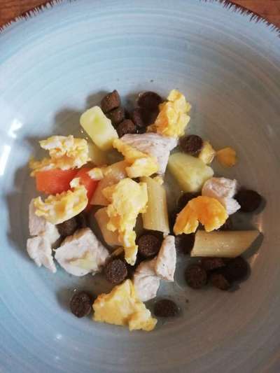 Zeigt her Eure Futternäpfe-Beitrag-Bild