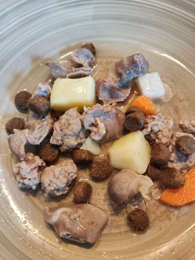 Zeigt her Eure Futternäpfe-Beitrag-Bild