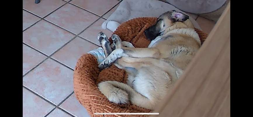 Fotochallange 84-Beitrag-Bild