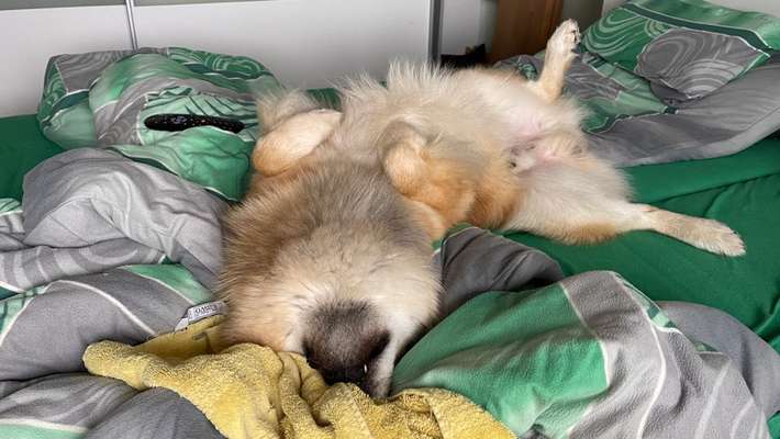 CHALLENGE NR. 34 - Liege-/Schlafpositionen-Beitrag-Bild