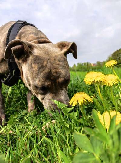 Fotowettbewerb Natur-Beitrag-Bild