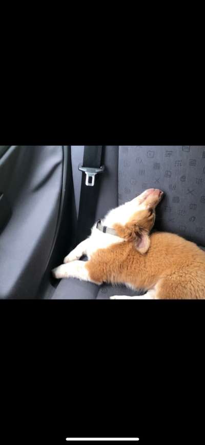 Die unbequemsten und lustigsten Schlafpositionen-Beitrag-Bild