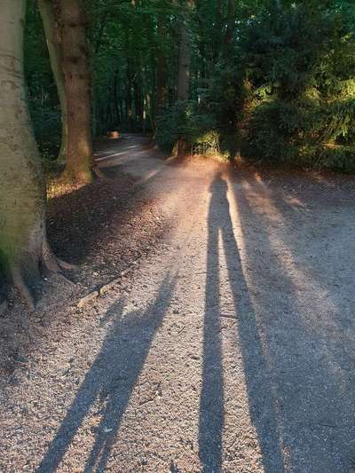 Fotochallange Nr. 46

Schattenspiele BEENDET!!!!!-Beitrag-Bild