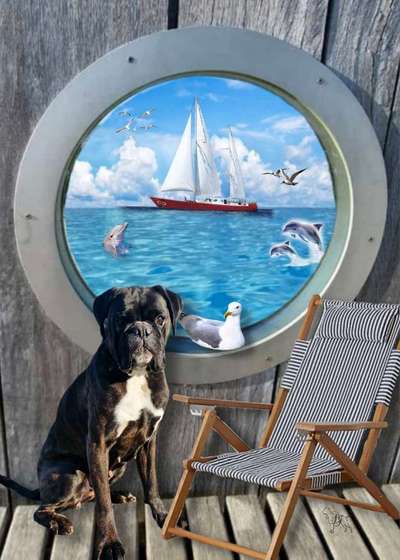 Photomontagen mit Hund-Beitrag-Bild