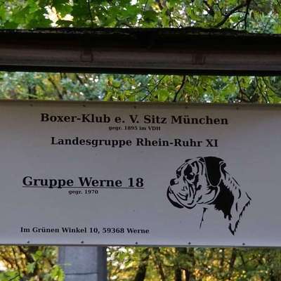 Hundeschulen-Boxerklub München e.V. Gruppe Werne-Bild