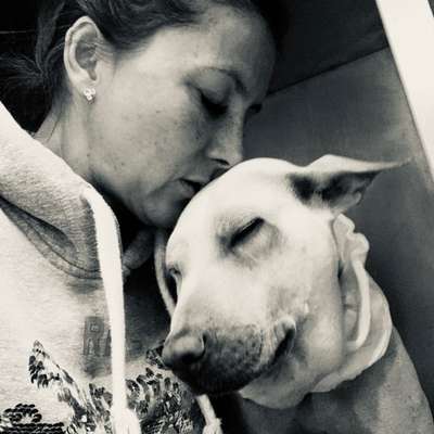 Unsere Fellnasen im Regenbogenland-Beitrag-Bild