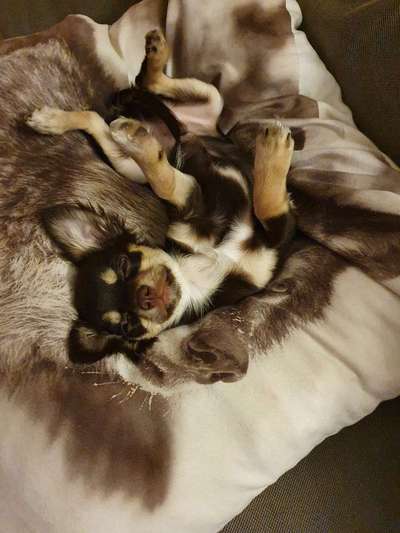 Fotochallenge Nr.65-Beitrag-Bild