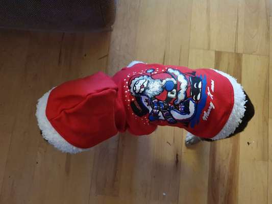 Süße Winteroutfits 😍-Beitrag-Bild