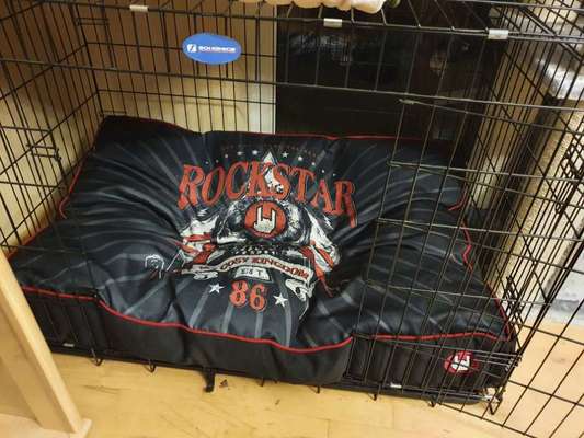 Körbchen / Hundebett-Beitrag-Bild