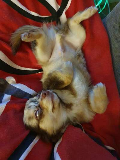 Fotochallenge Nr.65-Beitrag-Bild