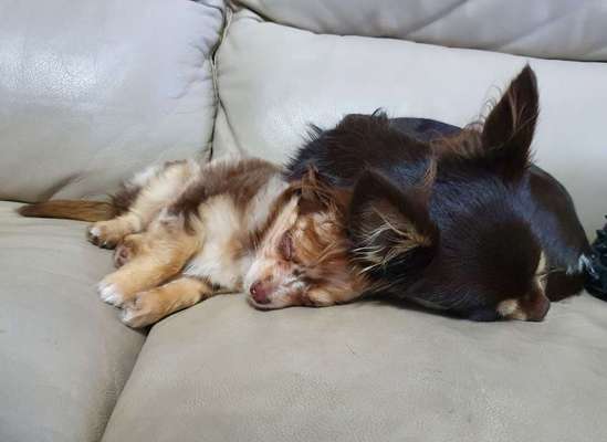 Schlafzeit!💖-Beitrag-Bild