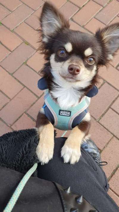 Lieblingsbild :D-Beitrag-Bild