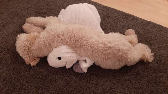 Die unbequemsten und lustigsten Schlafpositionen-Beitrag-Bild