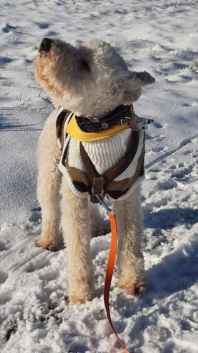 Challenge Nr. 15
Spiel im Schnee-Beitrag-Bild