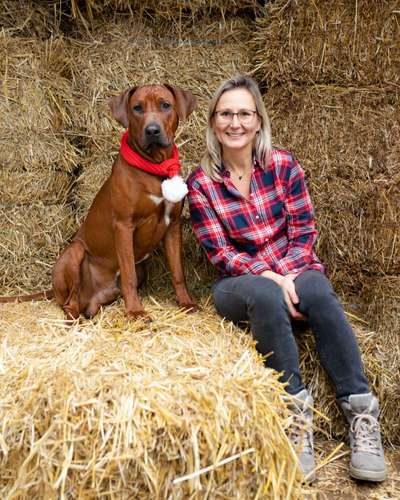 Rhodesian Ridgeback-Beitrag-Bild