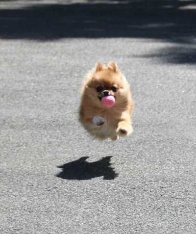 Lustigsten Bilder-Beitrag-Bild