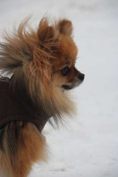 Zeigt eure Portraits-Beitrag-Bild