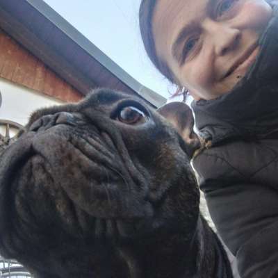 Hundetreffen-Klein Hunde und Frenchies-Profilbild