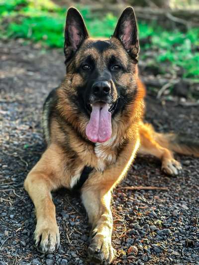 Fotochallange Nr. 57     PORTRÄT.   Beendet!!!!!!!!-Beitrag-Bild