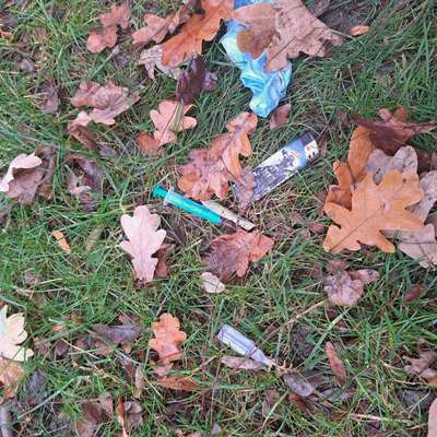 Giftköder-Drogenüberreste-Bild