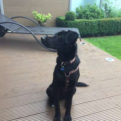 Zeigt eure Portraits-Beitrag-Bild