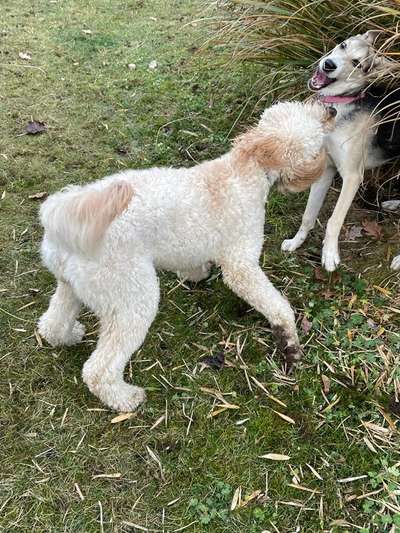 Her mit dem Grimassen-Beitrag-Bild