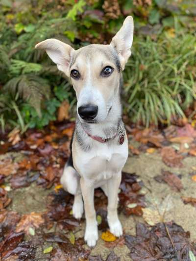 Lieblingsbild-Beitrag-Bild