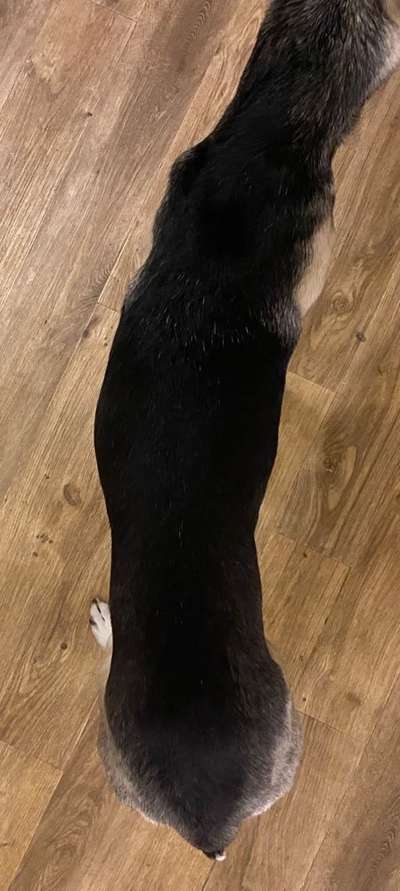 Der Gewichts-Thread-Beitrag-Bild