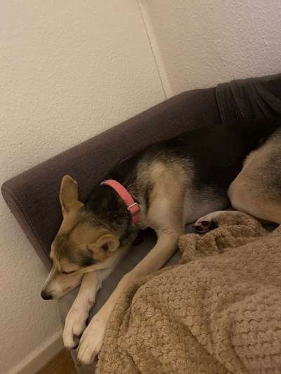 Schlafzeit!💖-Beitrag-Bild