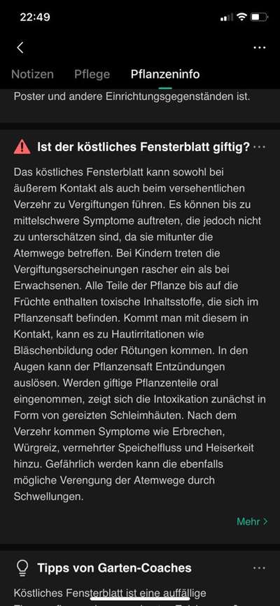 Giftig für Hunde?! Lasst uns alle mal zusammentragen was giftig ist! Schwarmintelligenz!-Beitrag-Bild