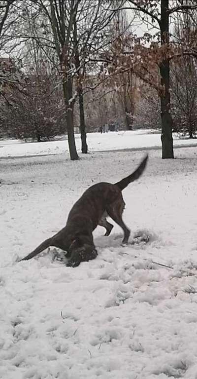 Challenge Nr. 15
Spiel im Schnee-Beitrag-Bild