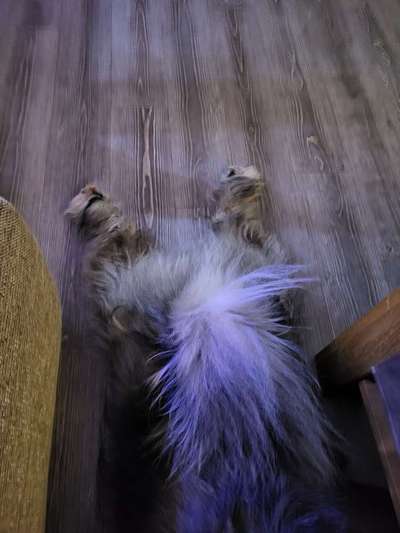 FOTO CHALLENGE Thema ,,durchdrehen"-Beitrag-Bild