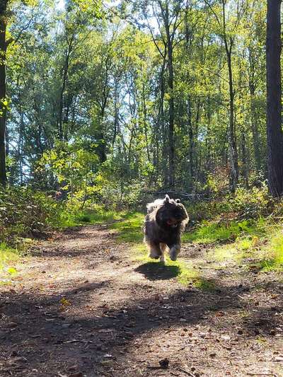 FOTO CHALLENGE Thema ,,durchdrehen"-Beitrag-Bild