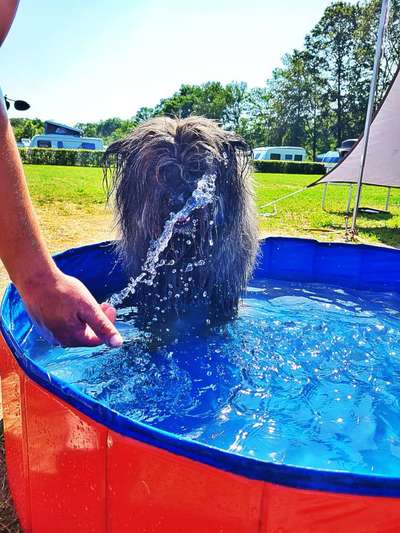 Eure schönsten Fotos mit Wasser-Beitrag-Bild