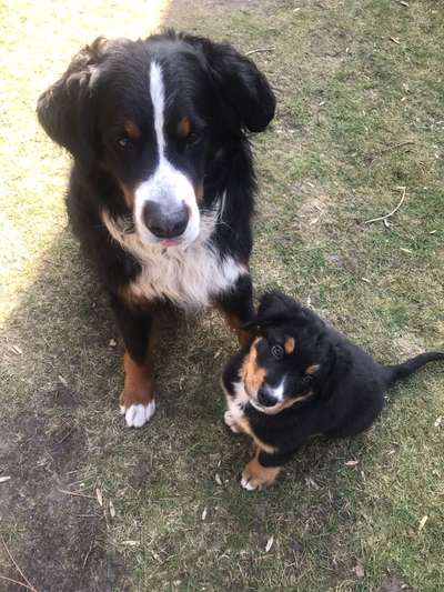 Von oben-Beitrag-Bild